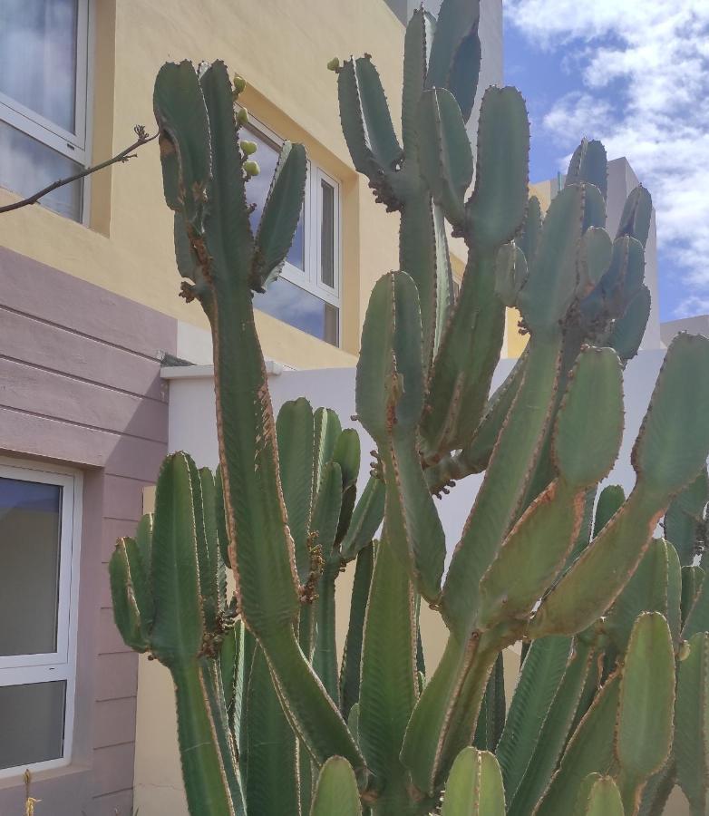 Apartamento con azotea privada #TheFunnyCactus Appartamento Puerto del Rosario  Esterno foto